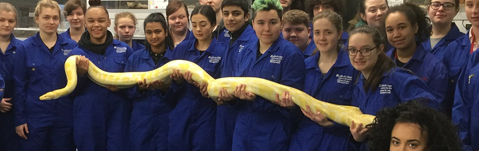 students holding an anaconda